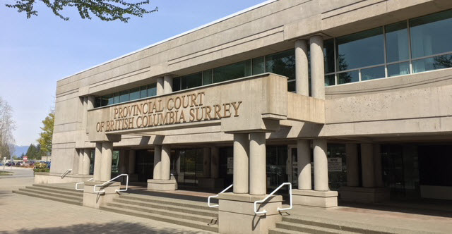 Surrey branch library