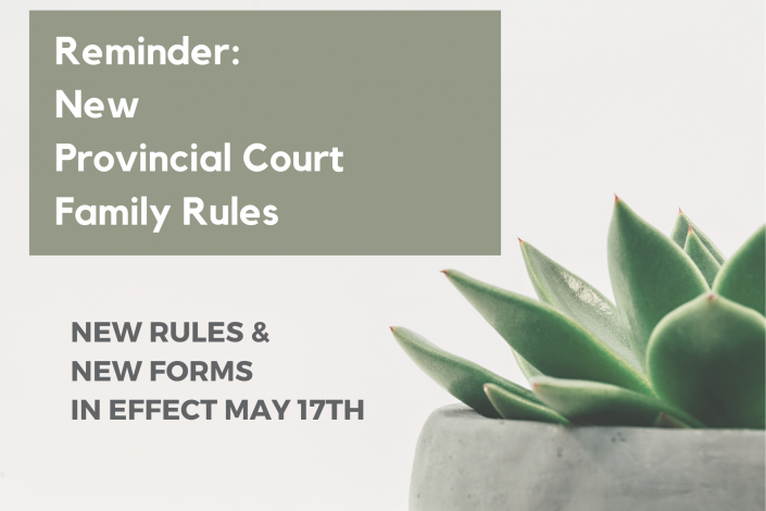 Image with text reading: "Reminder New Provincial Court Family Rules" with potted succulent in the bottom right corner