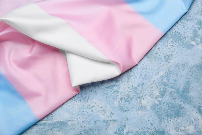 transgender flag on a marble background. the flag is from top to bottom a blue stripe, pink stripe, white stripe, pink stripe, blue stripe