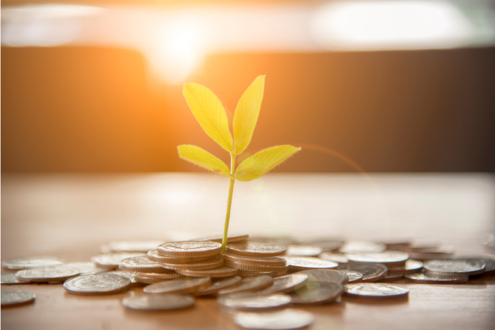coins spread on a surface. a small plant is growing out of the pile of coins. the sun is rising behind the scene.